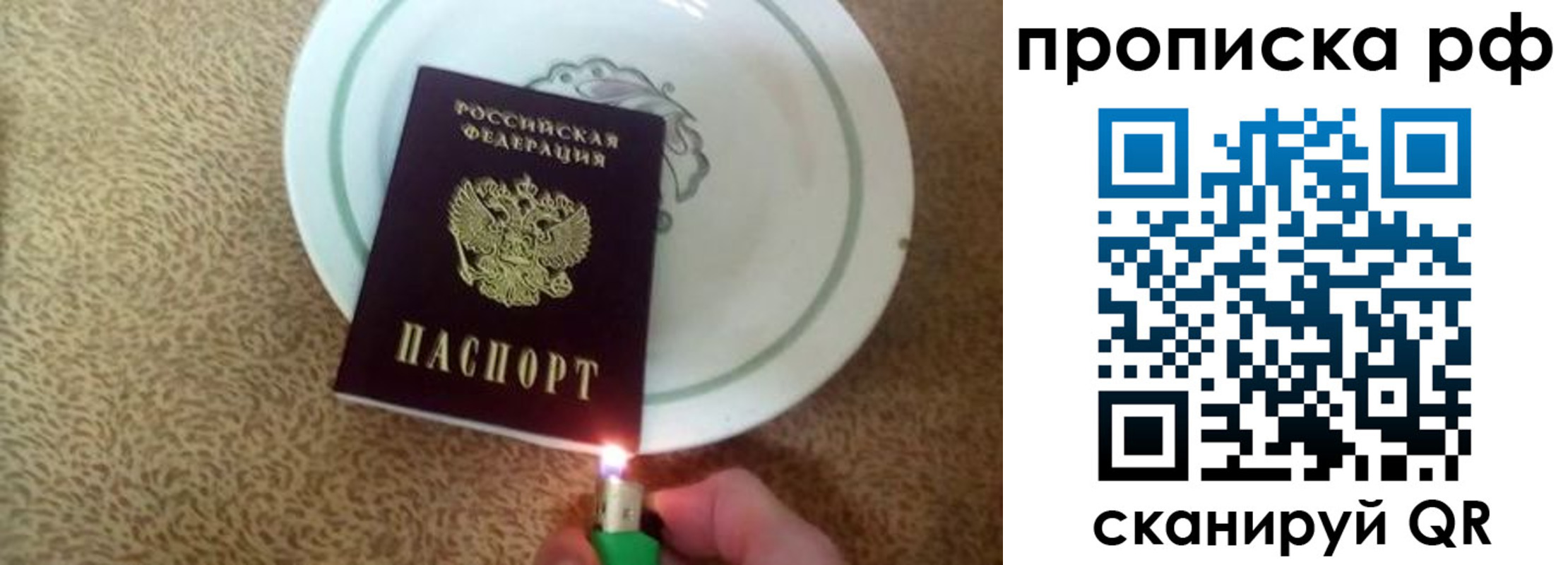 прописка в квартире в Сураже